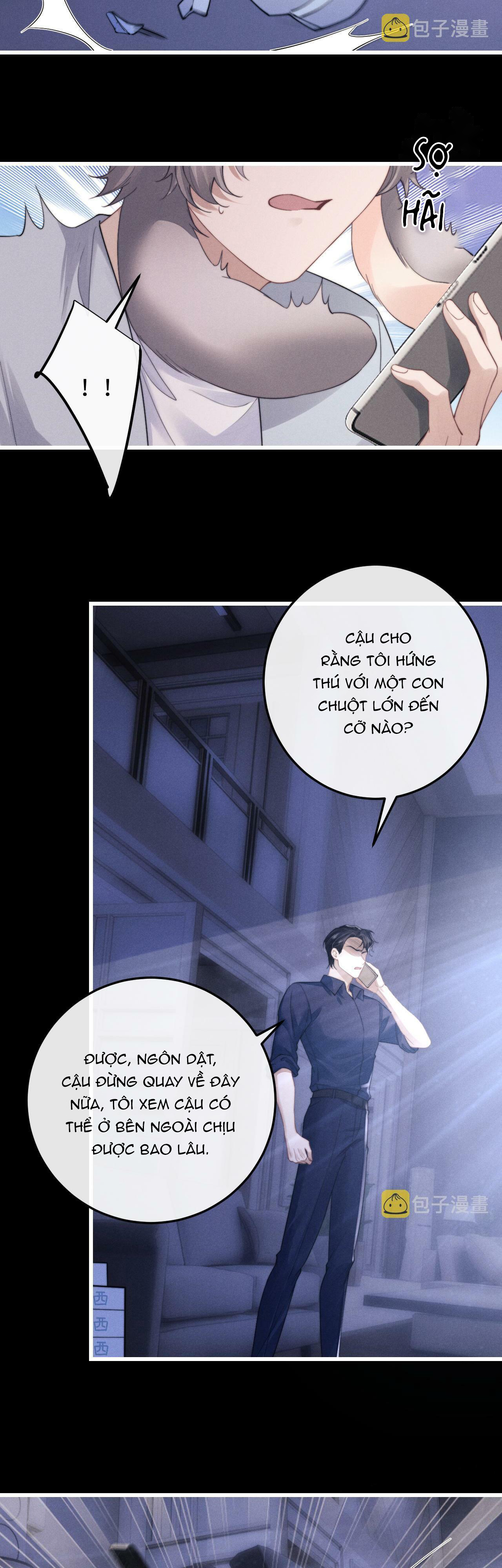 Chấp Sự Thỏ Cụp Tai Chapter 21 - Trang 4