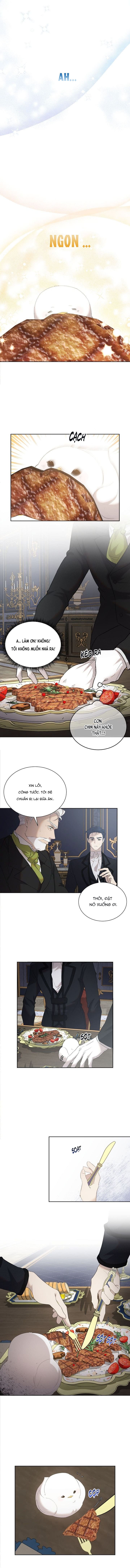 Nè, Đừng Nhấn Vào Nút Đó Chapter 6 - Next Chapter 7